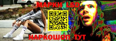 винт Славгород