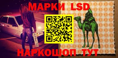 сатива Ставрополь