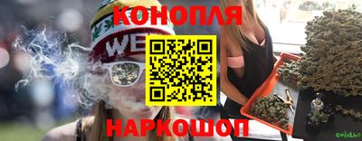винт Славгород