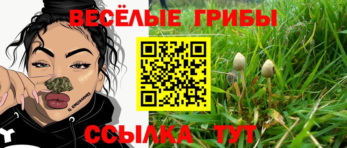 Новошахтинск  Псилоцибиновые грибы MAGIC MUSHROOMS  Вход с VPN 